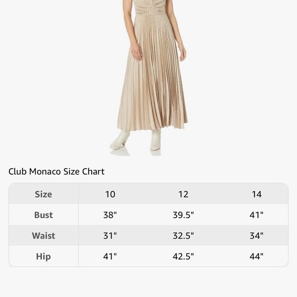 Club Monaco Strappy Pleated Maxi Dress - Picture 3 of 3